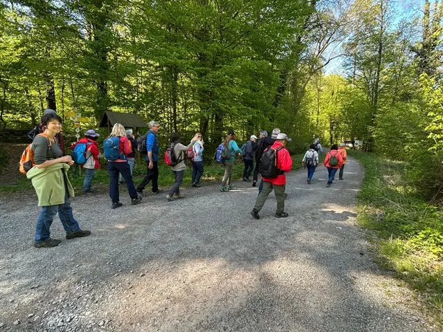 auf dem Weg zum Vesper | Foto: Albverein Weinsberg