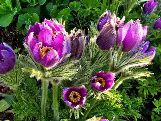 Foto: Heidrun Rosenberger