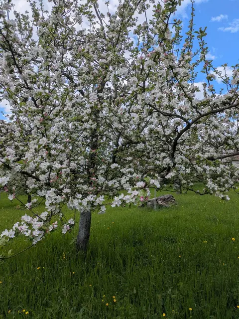 Foto: NABU Heilbronn und Umgebung