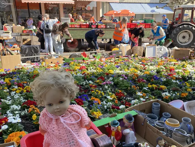 Viele Gebrauchtwaren standen um das neu eingepflanzte Blumenbeet.  | Foto: Klaus Ries-Müller