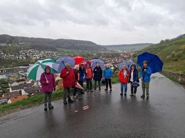 Die Albvereinler in den Weinbergen oberhalb von Ingelfingen | Foto: Herbert Wied