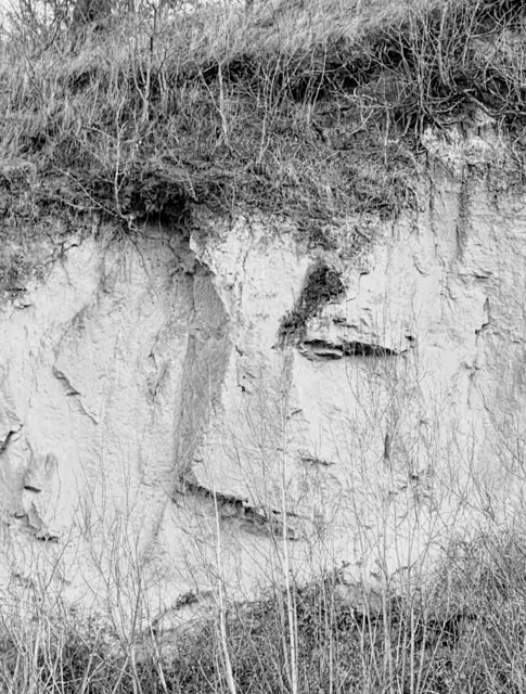 frei nach Mount Rushmore Selbstporträt | Foto: Bildrechte Johannes Ritschel