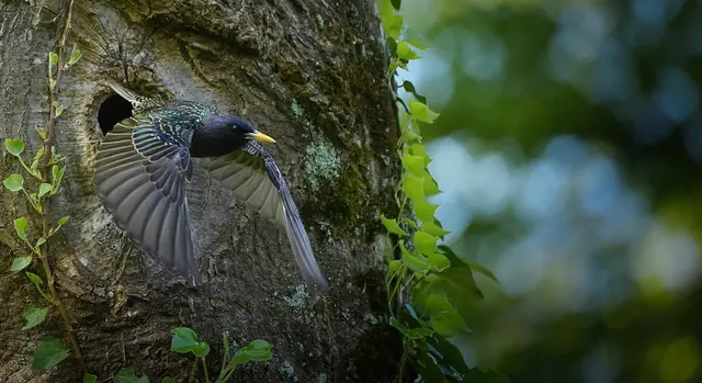 Im Abflug erwischt.... | Foto: Moni Bordt