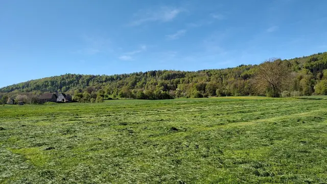 Beim Freilandmuseum Wackershofen | Foto: GMS