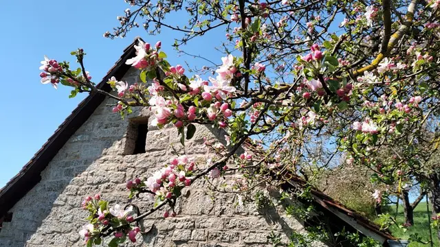 Flachsbrechhütte | Foto: GMS