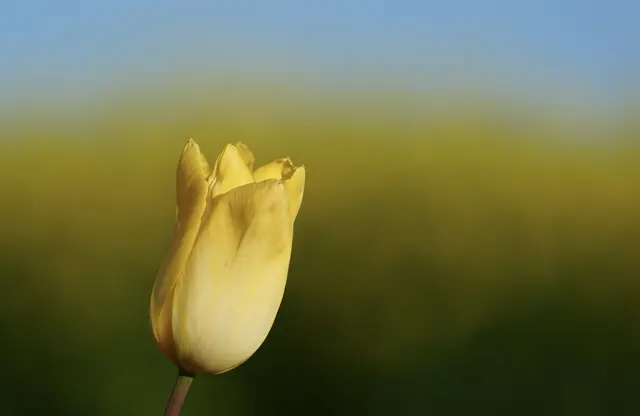 Foto: Moni Bordt