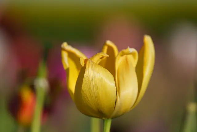 Foto: Moni Bordt