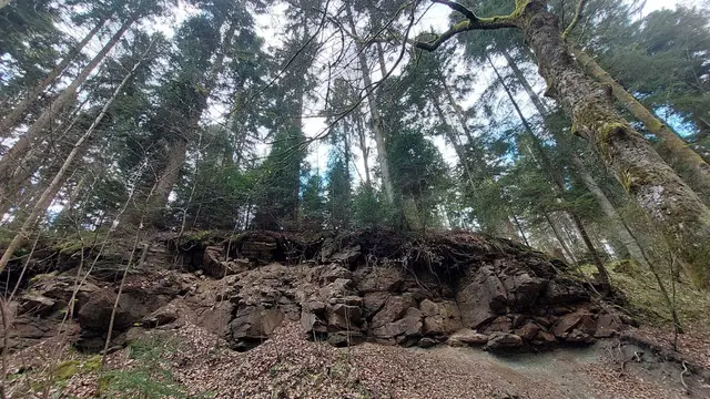 Foto: SAV OG Talheim