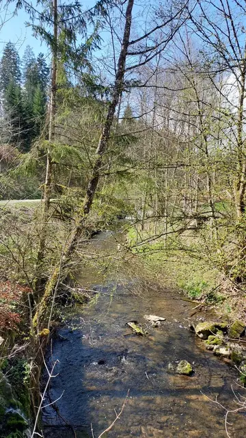 Foto: SAV OG Talheim