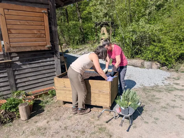 Foto: Anja Bohn