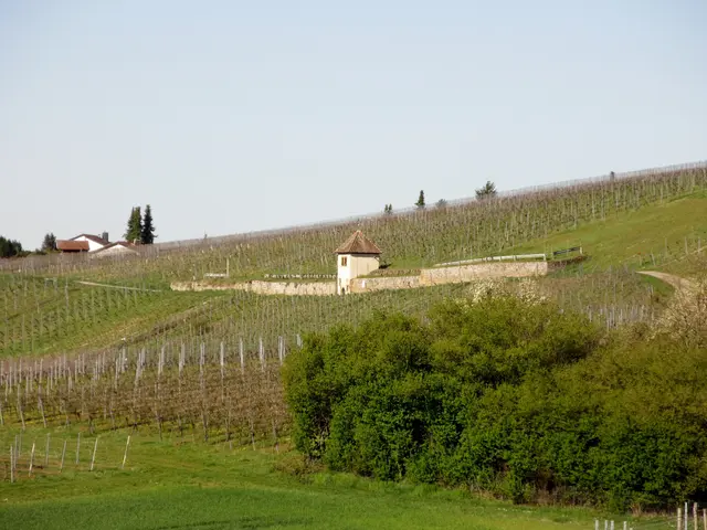 Flein, Karmeliterhäusle | Foto: WandernGabyErich