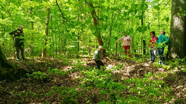 Keltengrab, Zugang wurde erleichtert, weil das Gestrüpp entfernt wurde, aber das Schild fehlt. | Foto: WandernGabyErich