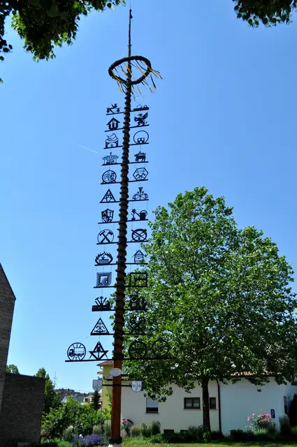 Der Maibaum in Nordheim im Jahr 2023 - ein klassischer Zunftbaum. | Foto: Daniela Somers