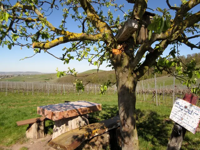  A schees Plätzle | Foto: WandernGabyErich