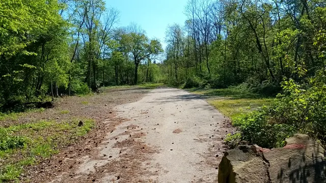 So ist es heute, Kinderwald renaturiert | Foto: WandernGabyErich