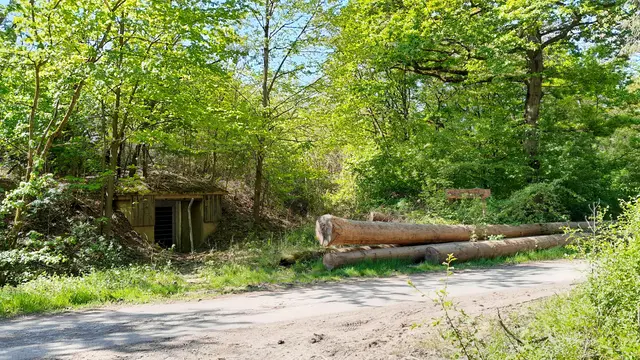 Kinderwald und Eingang zur Zeigerstellung der Schießanlage | Foto: WandernGabyErich
