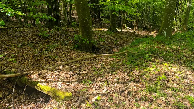 Lügenbrückle im Wald | Foto: WandernGabyErich