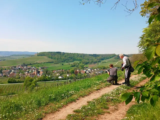 Wieder was fotogenes entdeckt.   | Foto: sigischlottke