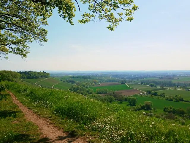 Blick Richtung Neipperg und ins Tal.  Wir laufen jetzt wieder zurück.   | Foto: sigischlottke