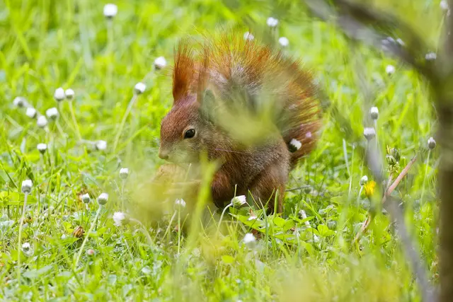 Die Empfängnisbereite 😉 | Foto: WKY