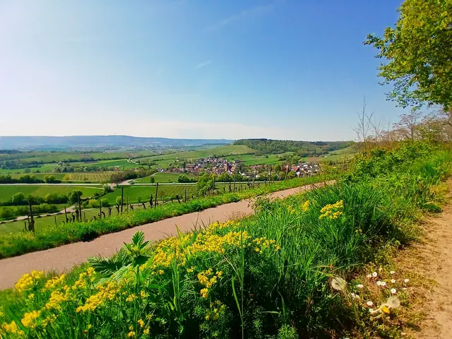 Herrliche Ausblicke.   | Foto: sigischlottke