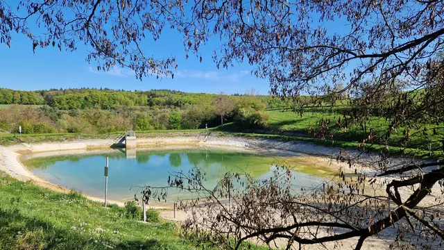 Foto: TSC Rot-Weiss Öhringen e.V.