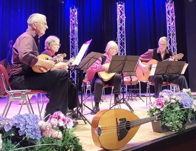 Die "kleine Besetzung des Mandolinen-Orchester Neckarsulm" | Foto: GMS
