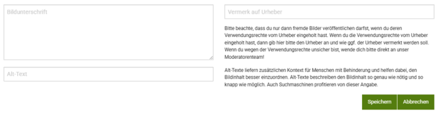 Auszufüllende Felder beim Bildupload auf meine.stimme. 