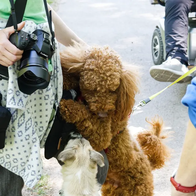 Geh von meiner Mom weg!!! | Foto: WKY