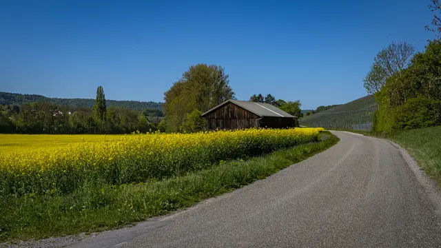 Straße nach Weiler | Foto: ehw