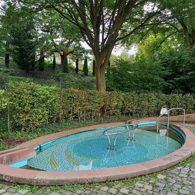 Wassertretbecken im Wertwiesenpark | Foto: privat
