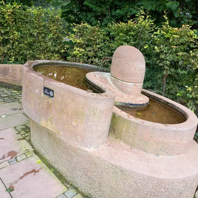 Armbadbecken im Wertwiesenpark | Foto: privat