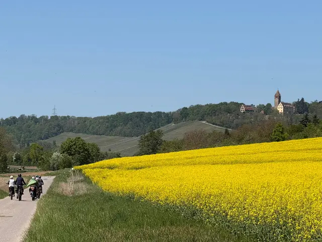 Blick auf das Stockheimer Schloss | Foto: E. Rosendorf