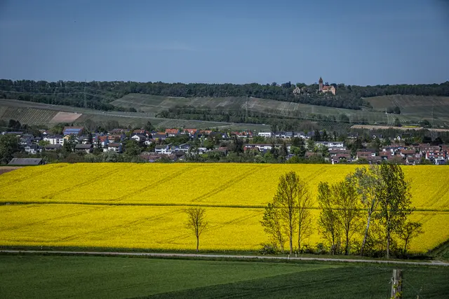 Schloss Stocksberg mit Güglingen | Foto: ehw