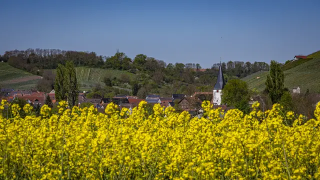Pfaffenhofen | Foto: ehw