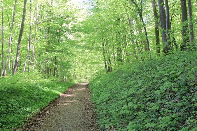 Maiwanderung- Kirchberg- Ockenauer Steg🌞😎🌞