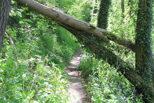 Maiwanderung- Kirchberg- Ockenauer Steg🌞😎🌞