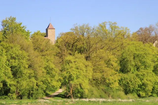 Maiwanderung- Kirchberg- Ockenauer Steg🌞😎🌞