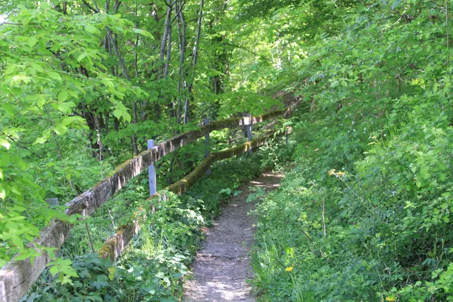 Maiwanderung- Kirchberg- Ockenauer Steg🌞😎🌞