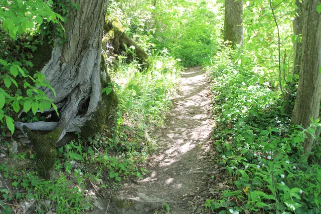 Maiwanderung- Kirchberg- Ockenauer Steg🌞😎🌞