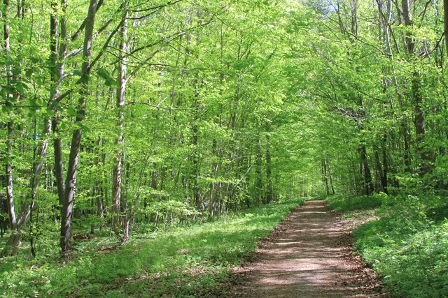 Maiwanderung- Kirchberg- Ockenauer Steg🌞😎🌞