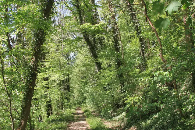 Maiwanderung- Kirchberg- Ockenauer Steg🌞😎🌞