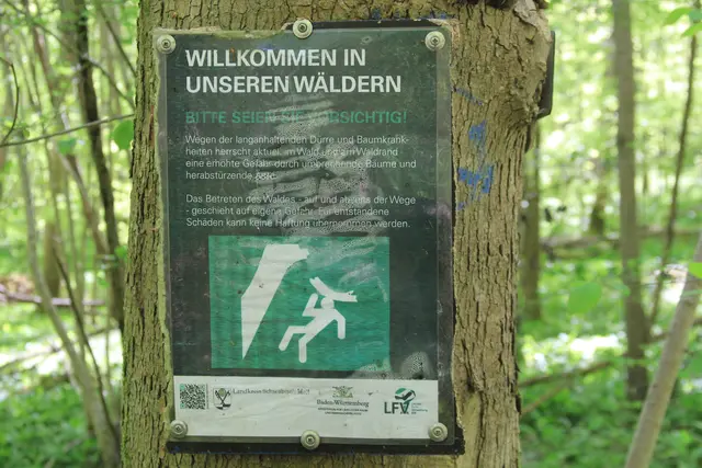 Maiwanderung- Kirchberg- Ockenauer Steg🌞😎🌞