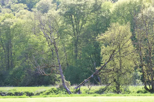 Maiwanderung- Kirchberg- Ockenauer Steg🌞😎🌞