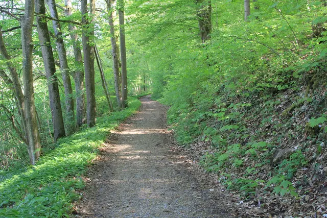 Maiwanderung- Kirchberg- Ockenauer Steg🌞😎🌞