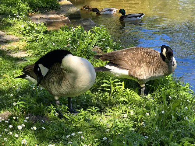 Foto: Heidrun Rosenberger