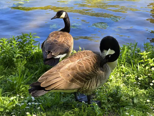 Foto: Heidrun Rosenberger