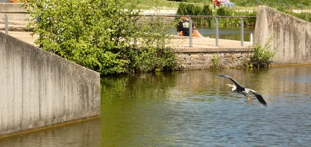 Jetzt bloß nix falsch machen und gut landen.  | Foto: sigischlottke