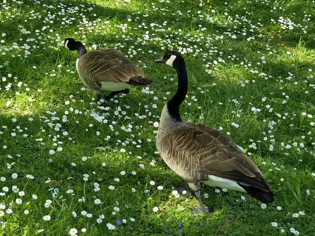 Foto: Heidrun Rosenberger