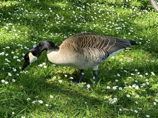 Foto: Heidrun Rosenberger